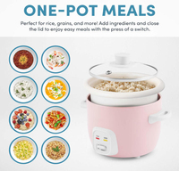 Mini cuiseur à riz, 2 tasses (avant cuisson) / 4 tasses (après cuisson), cuiseur à céréales, machine à soupe, maintien au chaud automatique, 1 Qt, rose