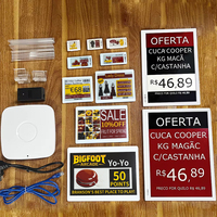 Nouveauté : Étiquettes de prix numériques E-Ink avec écran EPD, Bluetooth 2.4GHz, API ESP32, NFC, ESL, étiquettes électroniques pour rayonnages
