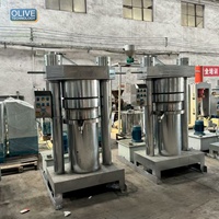 Redelijk geprijsde kokosmeltpersmachine, volledig hydraulische olijfoliepers, Momordica fruitolie-extractor