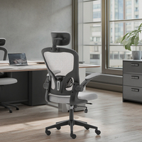 Chaise de bureau ergonomique par le fabricant, chaise pivotante moderne avec dossier en maille grise, métal, tissu, nylon, PP pour cadre dirigeant, pour usage domestique