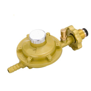 Газовый регулятор с регулируемым давлением - Product Image 3