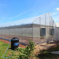 Serre agricole à simple travée avec couverture en film PE, système de ventilation naturelle, petite taille, une seule serre agricole
