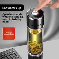 Bouteille d'eau en verre à double paroi sans BPA de style décontracté avec infuseur à thé Avantage à boire direct pour les cadeaux d'affaires