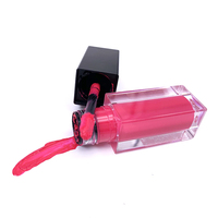 Rouge à lèvres liquide nude mat imperméable à faible MOQ, marque privée, cosmétique naturel