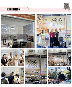 <span class=keywords><strong>Casetta</strong></span> <span class=keywords><strong>per</strong></span> Animali Domestici Golden Bear House, Lussuosa e Moderna in Legno, Resistente, Antiscivolo, Multifunzionale, Sicura <span class=keywords><strong>per</strong></span> Piccoli Animali, Cottage <span class=keywords><strong>per</strong></span> Criceti - Product Image 5