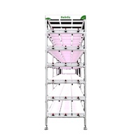 Solution personnalisée de système d'agriculture hydroponique verticale NFT pour les cultures de fraises