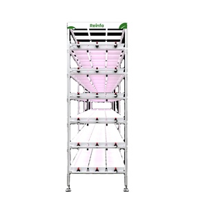 Solución Personalizada de Sistema de Cultivo Hidropónico Vertical NFT para <span class=keywords><strong>Cultivos</strong></span> de Fresas - Product Image 3