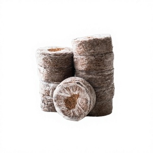 บล็อกเพาะกล้า Eco2go เวียดนาม, ใยมะพร้าวขายส่ง, เม็ดใยมะพร้าว, เม็ดพีทมะพร้าวสำหรับปลูก - Product Image 1