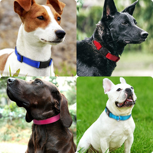 <span class=keywords><strong>Collar</strong></span> Reflectante para Perros, Impermeable, Suave y Bonito, con Luces Nocturnas para Correr y Caminar - Product Image 2