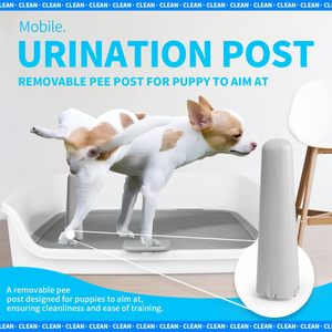 छोटे और मध्यम कुत्तों के लिए गर्म बिक्री वाले कुत्ते के शौचालय कुत्ते के साथ पालतू जानवरों की पोटी ट्रे के साथ छोटे और मध्यम कुत्तों के लिए - Product Image 4