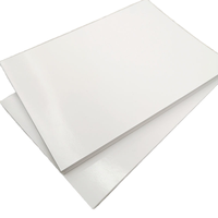 100 pièces A5 livre d'autocollants vierges personnalisables réutilisables Double face épais Double face feuilles de papier enduites de revêtement