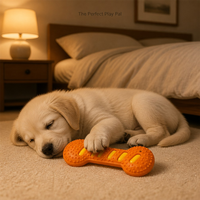 Jouet à mâcher pour chien en TPR, os couineur texturé, jouet interactif pour animaux de compagnie, pour la dentition, pour jouer à l'intérieur et à l'extérieur