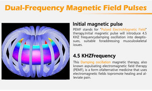 PEMF 6000Gauss, alat terapi rehabilitasi pereda nyeri kuda magnetik daya tinggi - Product Image 5