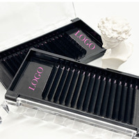 Extensions de cils volume noir mat en gros 5-25mm 0.03, plateaux de cils en cachemire personnalisés pour usage professionnel, fournisseur de cils