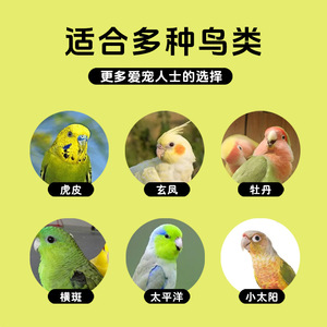 Cage à oiseaux rectangulaire en fil de fer durable Crown Asia pour l'extérieur - Product Image 4