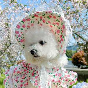 Chapeaux pour animaux de compagnie de différents designs, couvre-têtes pour chats et chiens pour la protection solaire et l'ombrage, casquette de baseball pour chien, accessoires pour animaux de compagnie - Product Image 6