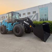 Kompakter Gebraucht-Lader SANY SW956E mit Flexiblem Lenksystem und Kleinem Wendekreis für Landschaftsbau und Gartenprojekte