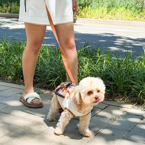 Portable Breathable Dog Harness <b>Backpack</b> For <b>Small</b> Dogs With Leash And Handle Outdoor Walking Gear - Product Image 3