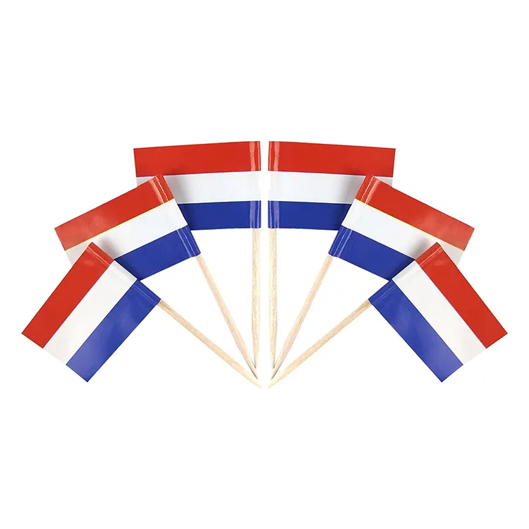 New Custom 100pcs Netherlands Toothpick Flag And Different Countries Small Mini Stick Cupcake Topper Decorated