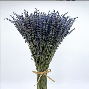 Flor de lavanda seca Natural, lavanda preservada, flor de larga duración para eventos y decoración del hogar - Product Image 1