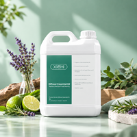 Huile de diffuseur de parfum commercial pour hôtel, spa, bureau, machine à aromathérapie, huile parfumée longue durée, vente en gros