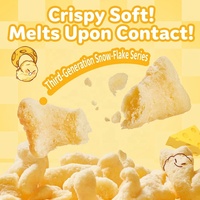 35g Cheese-Plan Snacks de Grano Salados con Forma de Gato, Sin Grasas Trans, Inflados, Directo de Fábrica, Personalizados, Venta al por Mayor, Especiales para Fiestas KTV