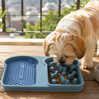 Nouveau tapis d'alimentation lente en silicone pour chiens et chats, anti-déversement, avec ventouse, bol portable pour voyage en extérieur