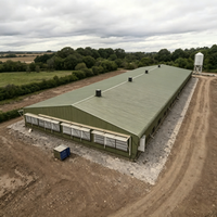 Bâtiments préfabriqués pour poulaillers en métal à construction rapide et économique, abris pour volailles, bâtiments pour fermes avicoles