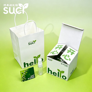 Coffret/sac cadeau miniature de paysage en miniature avec mousse de pelouse, un ornement créatif en forme de plante verte, un coffret cadeau à offrir à des amis. - Product Image 2
