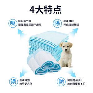 Pañales para mascotas, 30x45cm, protección absorbente contra fugas, tamaño grande para perros y gatos, paquete de 10 piezas, tela no tejida - Product Image 5