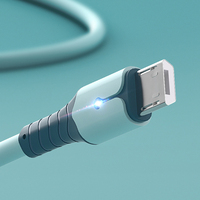 Câble de charge en silicone liquide avec LED, synchronisation des données, 0,25 m, 1 m, 1,5 m, 2 m, durable, haute vitesse, compatible avec les téléphones mobiles et les ordinateurs