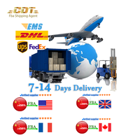 Vertrauenswürdiger chinesischer Spediteur Italien DDP Versandagent LCL FCL Konsolidierung Schnelle Lieferung Logistikdienstleistung China nach USA UK