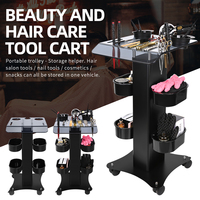 Chariot de Salon Professionnel à Roulettes pour Outils de Coloration Capillaire, Chariot de Rangement pour Salon de Beauté et Plateau de Coiffure