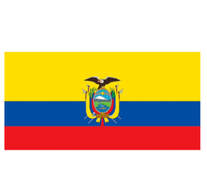 Toalla de Playa con la Bandera de Ecuador, Toalla Deportiva de Microfibra de Secado Rápido con la Bandera de Todos los Países, Personalizada para Partidos de Fútbol Mundial, Toalla de <span class=keywords><strong>Baño</strong></span> para Piscina - Product Image 1