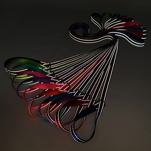 Ensemble collier et <span class=keywords><strong>laisse</strong></span> <span class=keywords><strong>pour</strong></span> <span class=keywords><strong>chien</strong></span> personnalisé cubain neutre colliers étanches <span class=keywords><strong>pour</strong></span> animaux de compagnie laisses fermoir concepteur <span class=keywords><strong>laisse</strong></span> de <span class=keywords><strong>chien</strong></span> en Nylon <span class=keywords><strong>pour</strong></span> chiens - Product Image 5