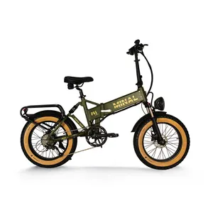 M1 Promax Elektrische Fiets Voor Volwassenen Opvouwbaar 20 ''Dikke Band Fietsen Pendelaars Off Road All Terrain Ebike 500W Motor Fiets