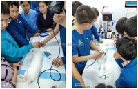 Système d'endoscopes numériques portables, réutilisables et flexibles pour instruments chirurgicaux vétérinaires : bronchoscope, cystoscope, urétéroscope pour chiens