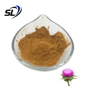 Polvo de silimarina OEM Extracto de cardo de leche natural puro Soluble en agua 40% silimarina