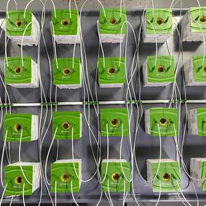 Tropfs child 6 Zoll Hydro ponic Kunststoff Bewässerung Grow Cap Tropfs chale Abdeckung für <span class=keywords><strong>Rock</strong></span> <span class=keywords><strong>Wool</strong></span> Cube - Product Image 5