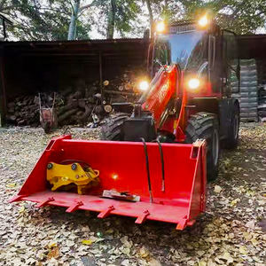 لودر بعجلات تلسكوبي صغير ومدمج من الشركة المصنعة EVERUN، بحمولة 2.5 طن ودفع رباعي، حاصل على شهادتي EPA وCE، بسعر للبيع - Product Image 2