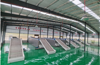 Séchoir à chili industriel de grande capacité en Chine Machine de séchage de chili entièrement automatique