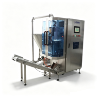 Machine de remplissage et d'emballage de sachets de crème au chocolat en forme de cône