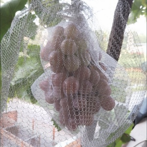 Panier en maille de protection des racines en acier inoxydable multi-tailles, filet anti-campagnols et anti-raisonnards pour la croissance des racines des plantes - Product Image 4