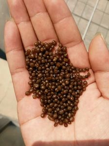 Yellow Diammonium <b>Phosphate</b> Granular Compound Water Soluble DAP <b>Fertilizer</b> Granules for Enhanced Crop Yield CAS 18-46-0 - Product Image 5