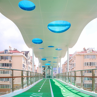 Puente Peatonal de Acero Galvanizado de Gran Vano con Estructura de Acero Ligero Prefabricada a Medida y Soldadura