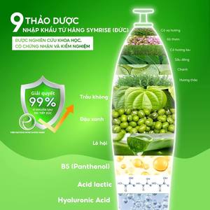 Kunden spezifisches Vietnam Intim hygiene gel sicheres BV-Behandlungs gel Hyaluron säure Kräuter adressierung Vaginaler Geruch Juckreiz - Product Image 2