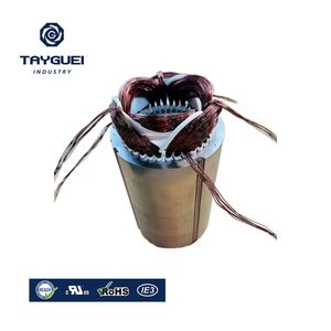 Pièces de générateur : Stator avec noyau en acier au silicium et enroulement en cuivre - Product Image 1