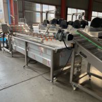 Bijl Volautomatische Groentefruitverwerkingslijn Omvat Het Sorteren Van Het Drogen Van De Warmtewisselaar Voor Het Drogen Van De Snij Voor Voedselverwerking