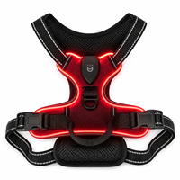 Harnais LED rechargeable pour chien, type C USB, gilet lumineux pour animal de compagnie, harnais réfléchissant anti-traction pour la sécurité des promenades nocturnes, tailles S à XL