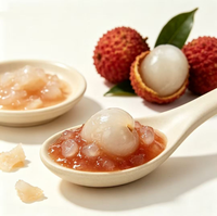 Lotlong Fabriek Leverancier Kosteneffectieve Pure Fruit Verwerkte Lychee Puree Jam voor Foodservice & Huishoudelijk Commercieel Gebruik